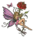 Red Rose Fairy