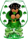 St. Dog