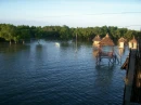 natural reef