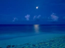 Into the Sea