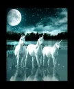dream