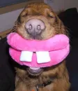 smile!!!!!!