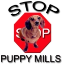 stop puppy mills