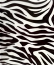 zebra stripes