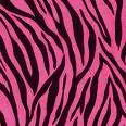 pink zebra