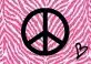 peace and zebra:)