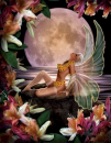 Flower & Flutterfly