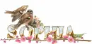 Sophia w/ BIRDS...
