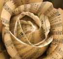 music rose