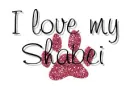 Shabei