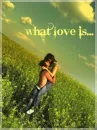 what love is