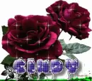 Flower of Cindy