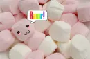 Marshmallow