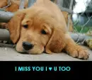 I MISS YOU & LOVE YOU TOO!