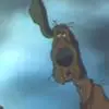 Napoleon