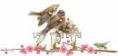 ZET