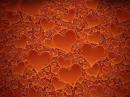 ORANGE HEARTS