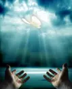 hands of god