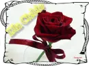 Dla Ciebie / For You