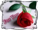 For You 