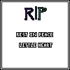Rest in Peace Little Heart