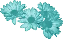 Dark Teal Daisies
