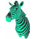 cute zebra