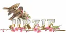 JIRZIE w/ BIRDs...