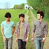 jonas brothers