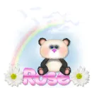 panda bear