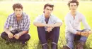 jonas brothers