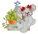 creddy