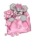 creddy teddy