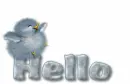 blue bird