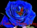 blue