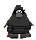 ninja