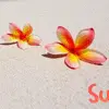 summer love
