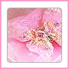 pink butterfly