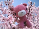 Gloomy Bear in a cherry tree