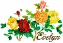 Evelyn