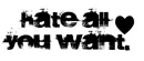 hate all you want
