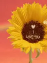 I LOVE YOU