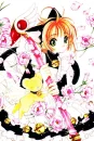 Sakura card captors