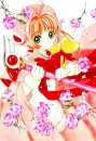 Sakura card captors