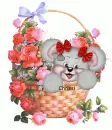 creddy