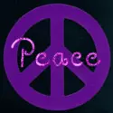 Peace Love Pandas