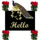 hello