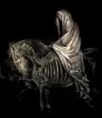 GrimReaper