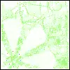 Go Green