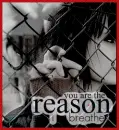Youre the reason <3